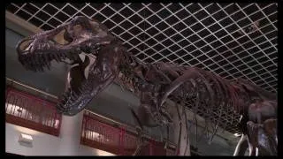 DNews at the Academy of Natural Sciences of Drexel University (HD Version)