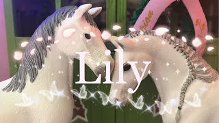 Lily-Schleich horse music video-“The ultimate betrayal” eps.4 *final* #vickycornloveshorses