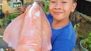 GIANT SQUID ng Donsol Sorsogon