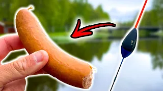 Float Fishing With SAUSAGE (UNEXPECTED CATCH) | Team Galant