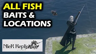 All Fish Locations, Baits & How To Catch them | NieR Replicant ver 1.22 (2021) Walkthrough & Guide
