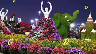 Dubai, Miracle Garden Дубай, "Сад чудес" (парк цветов)