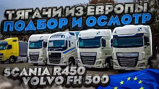 SCANIA R450 VOLVO FH 500 | ПОДБОР ТЯГАЧЕЙ В ЕВРОПЕ