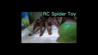 Remote Control Spider Toys for Children Gifts Baby Toys