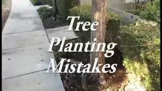 Tree Planting MISTAKES!