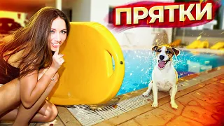 ЭКСТРЕМАЛЬНЫЕ ПРЯТКИ С СОБАКОЙ НА ВИЛЛЕ - Прятки 5 - Кипр | Elli Di Pets