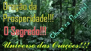 Oração da Prosperidade!!! O Segredo!!! "Floresta"