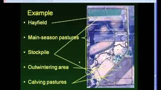 Stockpiling Forages to Extend the Grazing Season on Your Organic Dairy Webinar by eOrganic