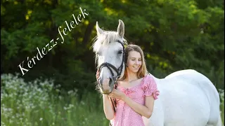 Lovas kérdezz-felelek 🦄