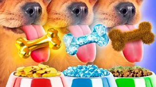 Mi Perro Mágico Concede Deseos | Momentos Divertidos con Mascotas Extrañas