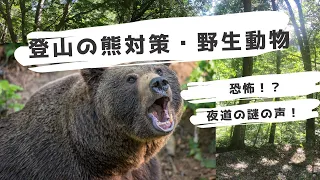 【恐怖】夜の登山道で謎の声！登山の熊対策と野生動物の注意