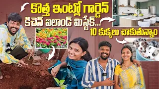 New House Garden | Kitchen Island Mistake | Feeding 10 Stary Dogs | Adi Reddy | New Home Garden