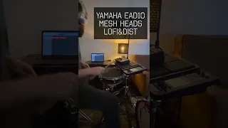 What does the Yamaha EAD10 sound like with mesh heads? LoFi&Dist Edition.