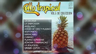 🔊CULTO TROPICAL VOL.1 (2019) [📀Plena SONDOR]