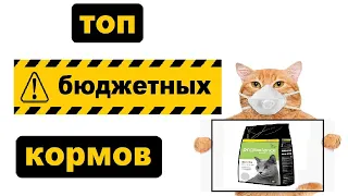 Бюджетные корма для кошек | Обзор | Чем кормить кошку и кота