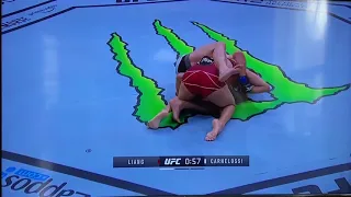 UFC 261: Liang vs Carnelossi