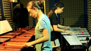 L'amour toujours - Gigi D'Agostino (marimba and vibraphone cover)