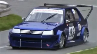 240Hp/720Kg Peugeot 205 GTi || 2.0L Engine with ITBs - Pure Sound