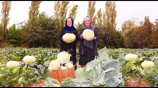 HEYVALI KƏLƏM DOLMASI bişirdik-Müxtəlif tərəvəzlərlə KƏLƏM turşusu hazırladıq