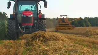 Żniwa 2021!! Bizon z056 & MF 5710 - Dźwięk silnika / small harvest in Poland , engine sound