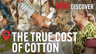 Cotton Industry Secrets: How the 'Ethical' Cotton Industry is a Barbaric Cash Crop | Documentary