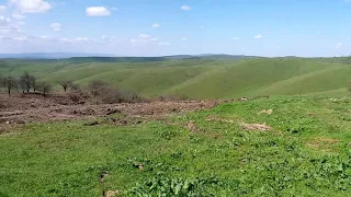 ЧУЧУ. СТАРЫЙ ГОРАГОРСК. НОСТАЛЬГИЯ.