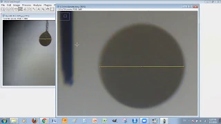 ImageJ analysis: Measuring the diameter/length and area of multiple pictures simultaneously