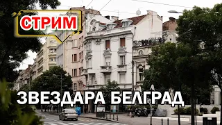 БЕЛГРАД СТРИМ | Гуляем по району Звездара