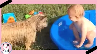 Смешное видео вызов ★ Забавный ребенок играет в воде с собакой героем