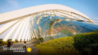 A Singapore Sky Garden Resembles an Alien Structure 👽 How Did They Build That? | Smithsonian Channel