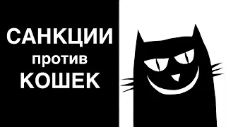 Удар по российским котам. Санкции против русских кошек