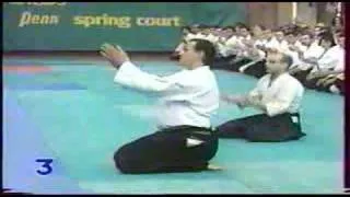 Stage d' Aikido de Steven Seagal à Lambres Lez Douai en 1996 organisé par  le WAGODOJO