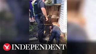 Trapped dog rescued from under house in New York state