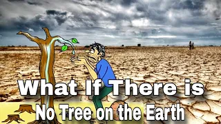 What If All Trees Were Cut Down? | Earth Without Trees