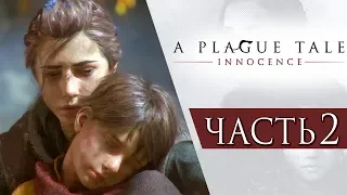 A Plague Tale: Innocence ● Прохождение #2 ● АМИЦИЯ И ГУГО ДЕ РУН