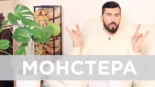 #PETELSHOW 1/9: МОНСТЕРА