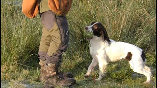 Keep hunting, keep going, no stopping MaryLou