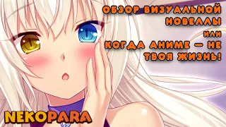 NEKOPARA — обзор визуальной новеллы, когда Аниме — не твоя жизнь! Стоит ли покупать?