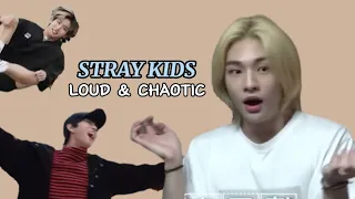 Stray Kids being Stray Kids ~try not to laugh~ (30k special)