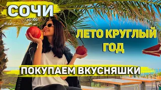 СОЧИ погода в ноябре. Рынок Адлер ЧТО КУПИТЬ ВКУСНОГО