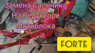 Как Заменить Сальник и Слить Масло с Редуктора Мотоблока! ЧАСТЬ 1