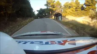 HALIVELAKIS K.-MACHERAS L. Rally Paladio 2011 SS Agios Ioannis Peugeot 206 S1600 EKO RACING