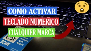 Como ACTIVAR TECLADO NUMERICO En HP, Dell, Asus, Cualquier Laptop 2024