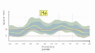 La surveillance de la glycémie en continu et le PGA