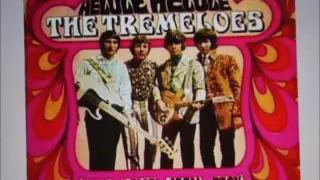 the  tremeloes     "suddenly you love me"      2016 stereo remaster.