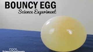 Bouncy Egg Science Experiment