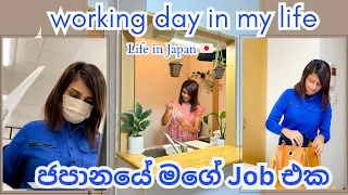 Life in Japan🇯🇵| ජපානයේ මගේ Job එක | Working day in my life | මම කොහොමද ජපානයේ Uni එකට apply කරේ?