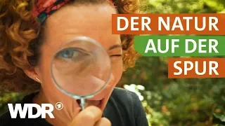 Wer war Alexander von Humboldt? | neuneinhalb – Deine Reporter | WDR