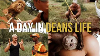 A day in Deans life - Dean Schneider