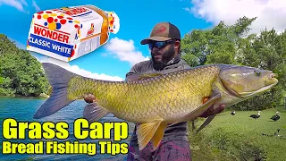 Monster Mike's Carp Fishing Secrets!  How to Catch BIG Grass Carp!